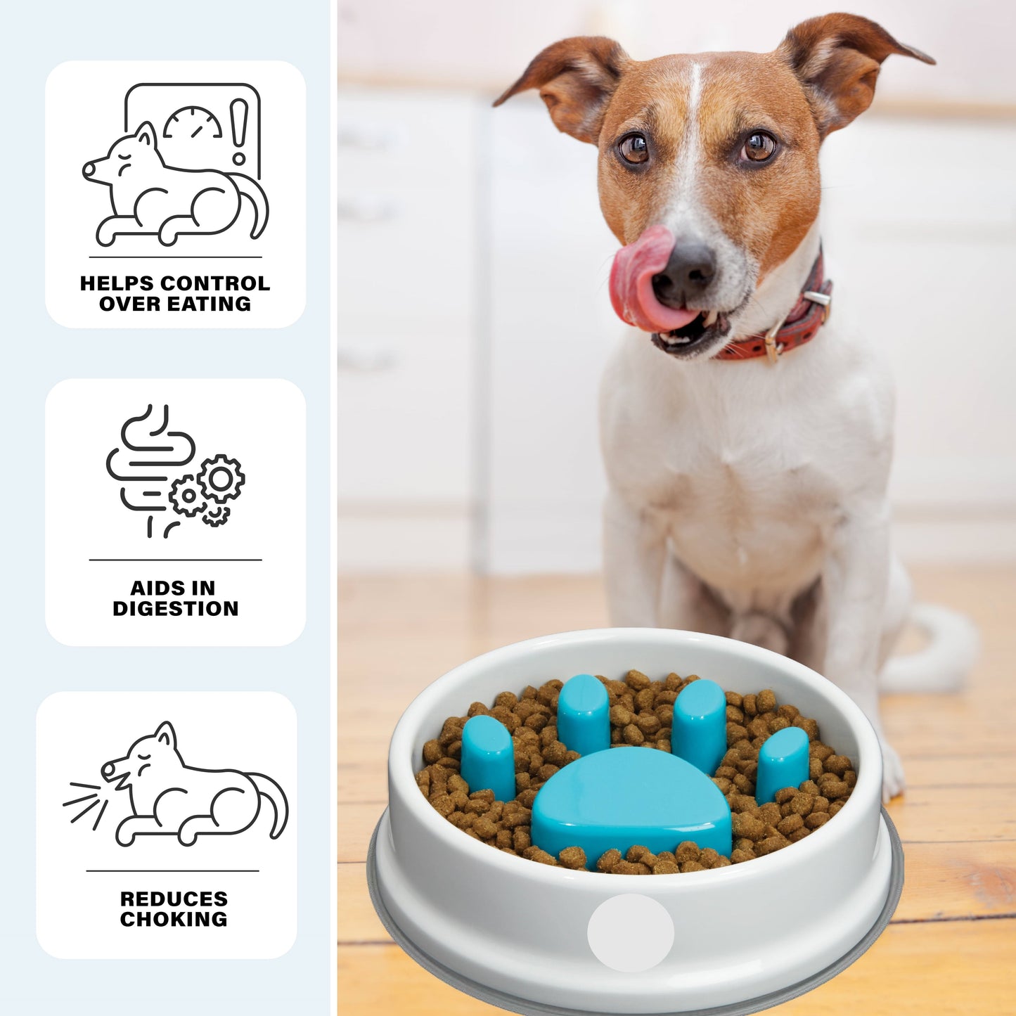 Plato Antireflujo para Mascotas