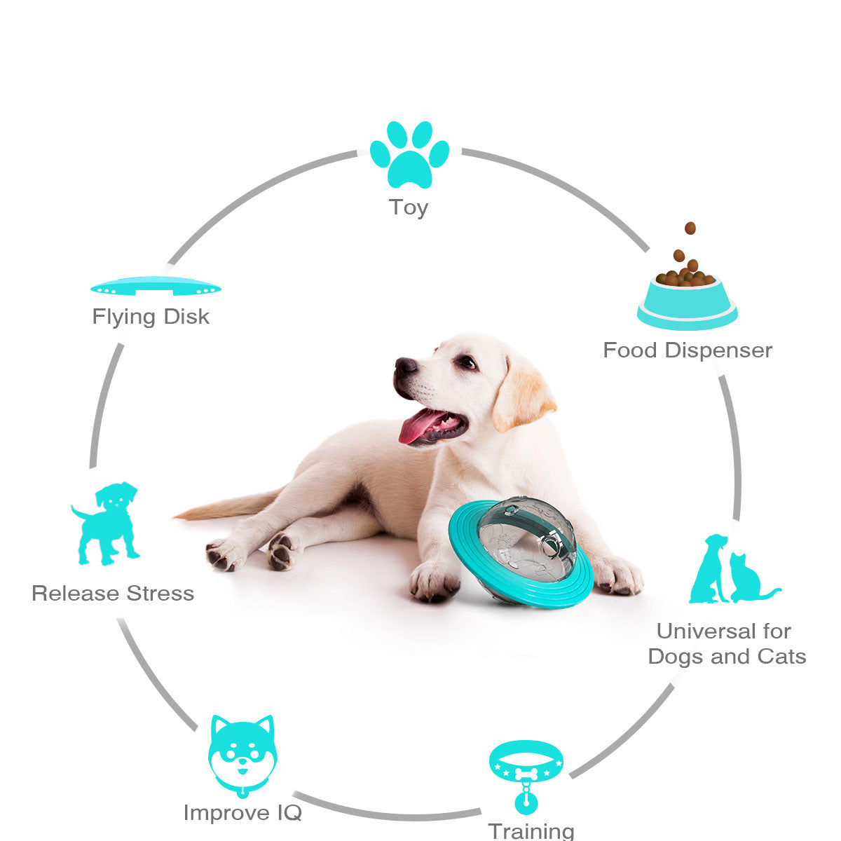 Dispensador de alimentos Frisbee para mascotas