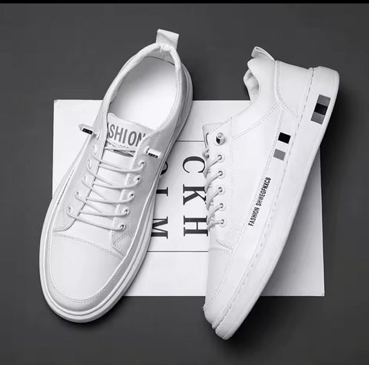Tenis Caballero Elegante